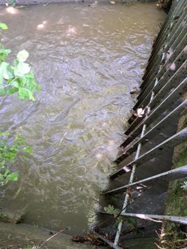 Čiščenje naplavin - odpadki ne sodijo v struge. Foto: HNG